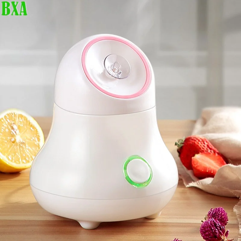 Fruit and Vegetable Facial Ste - Facial Steamer Nano ulasan dan harga